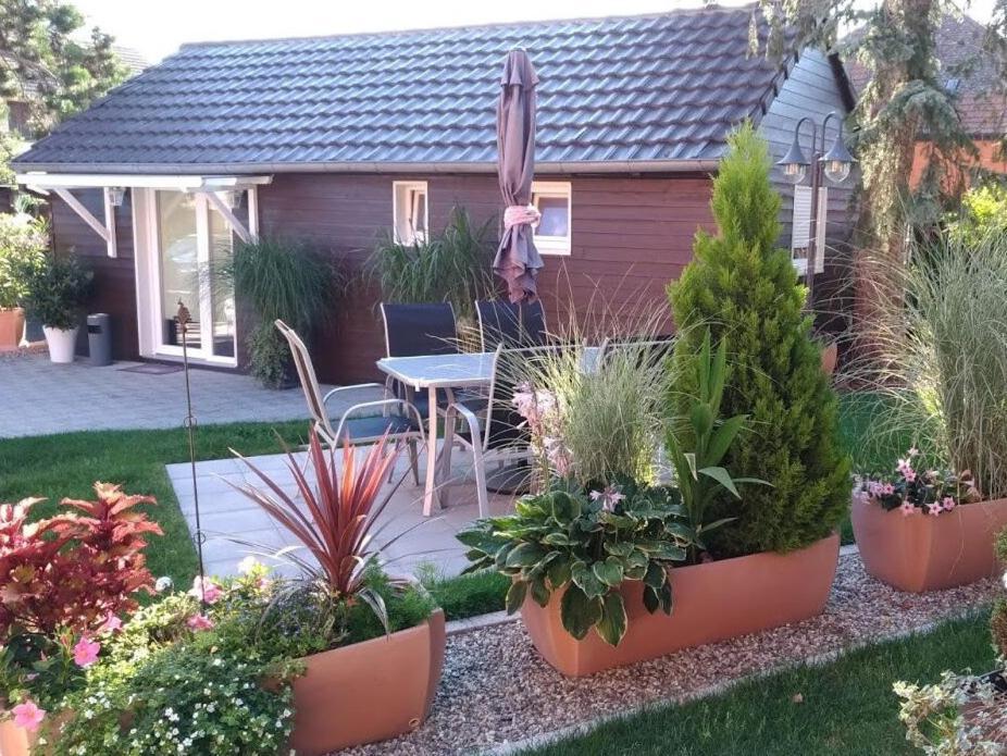 Le P'tit Paradis Du Ried Apartment Sundhouse